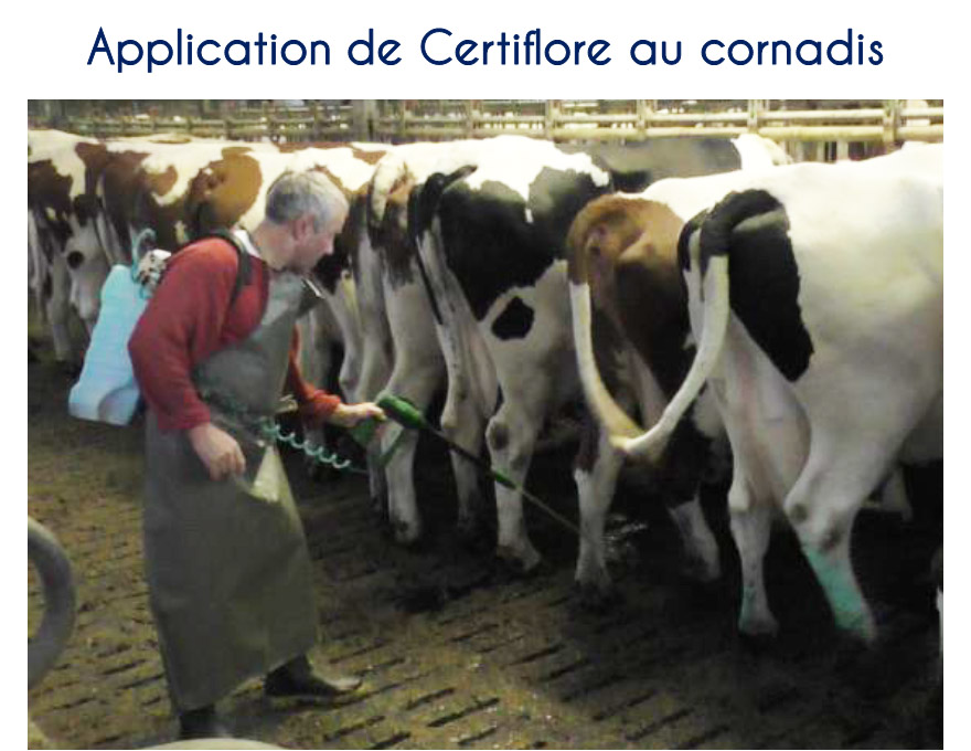 Application de Certiflore au cornadis