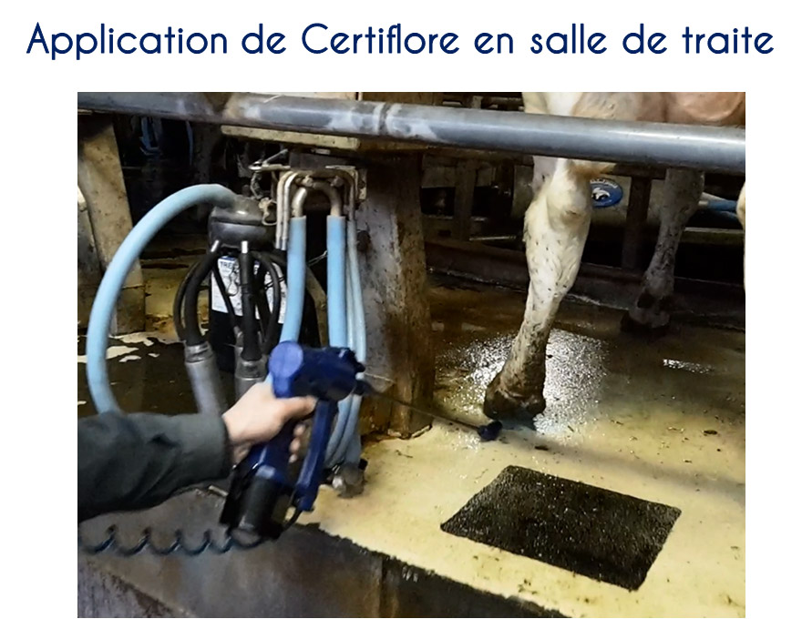 Application de Certiflore en salle de traite