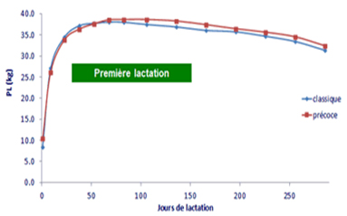 graph2.jpg