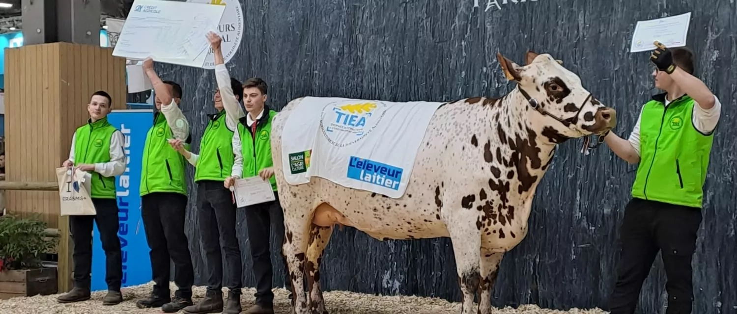 TiEA concours général agricole